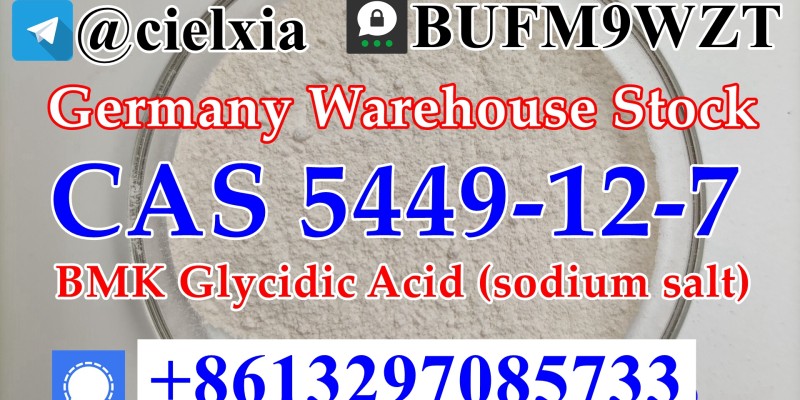 Cheap Price CAS 5449-12-7 BMK Powder BMK Glycidic Acid (sodium salt) image 1