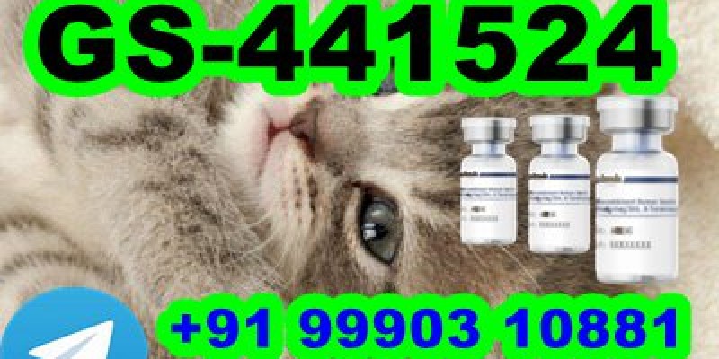 GS-441524 cat Fip Feline Infectious Peritonitis image 1