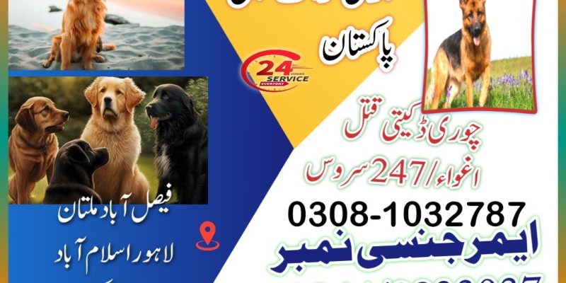 Army dog center Pakistan image 1