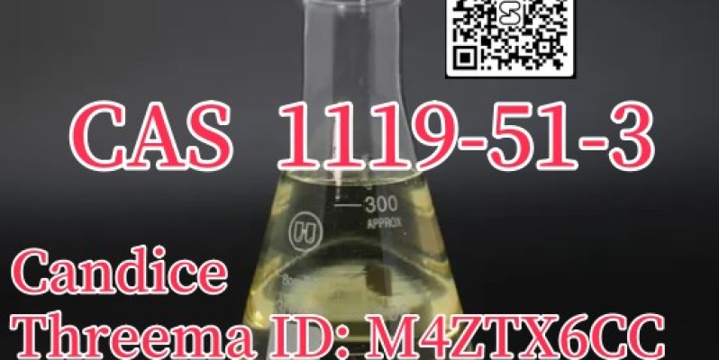 High purity 5-Bromo-1-pentene CAS 1119-51-3 factory price image 1