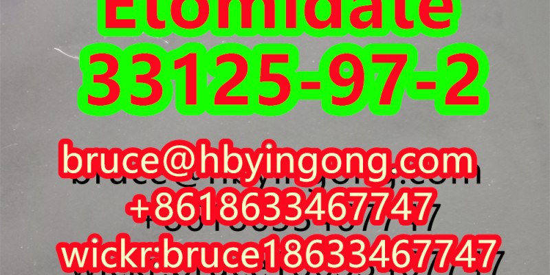 CAS 33125-97-2 Etomidate image 2