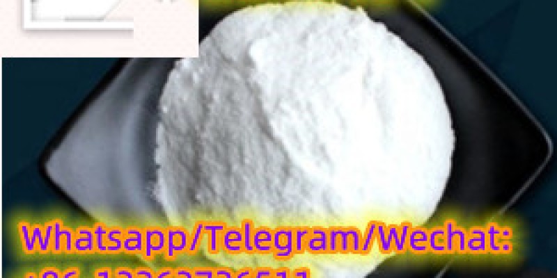 Factory Supply N-Methylbenzamide CAS 613-93-4 image 2