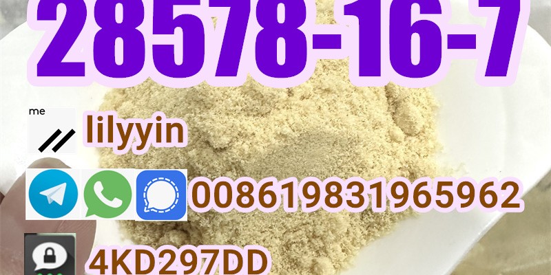 Supply High Purity 28578-16-7 image 2