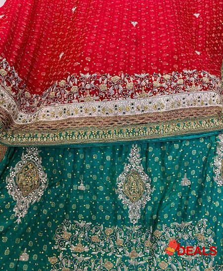 Bridal/wedding dress / lehenga image 1
