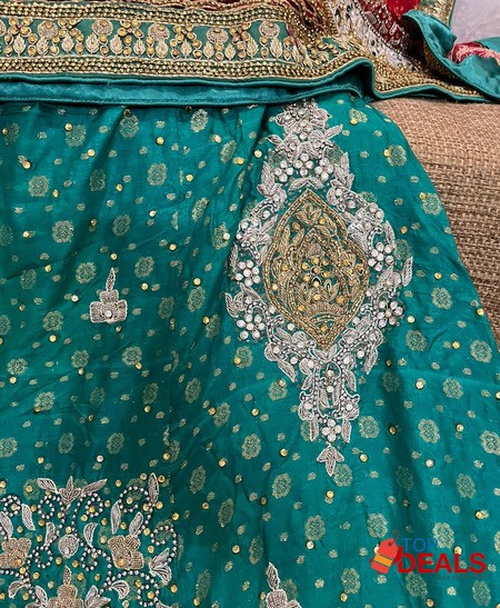 Bridal/wedding dress / lehenga image 4