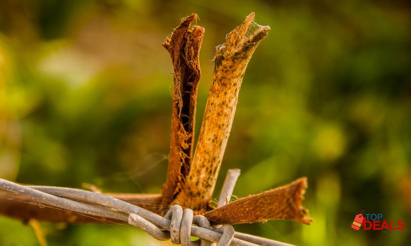 Canon 450-D made in japan image 2