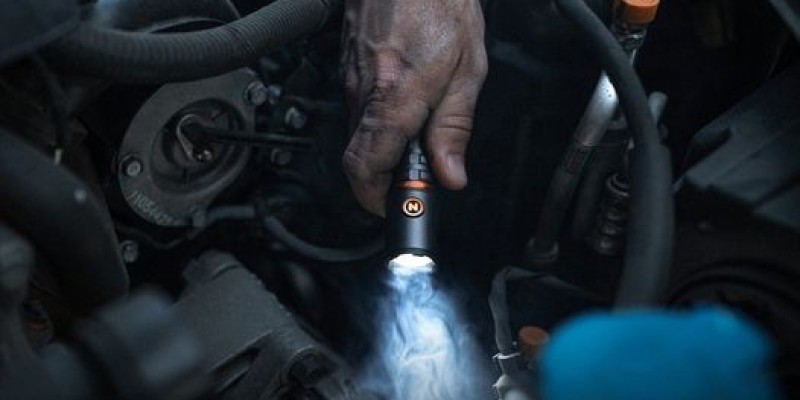 Companion Flat 14% off on your favorite brands from 1st - 14th Feb 2022! 3 