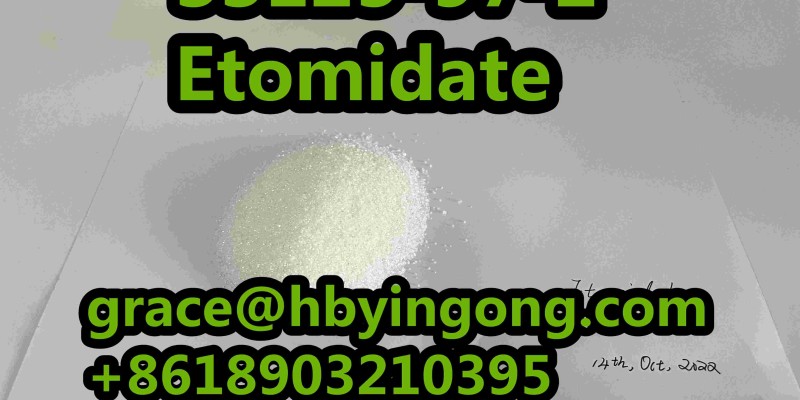 New Original 33125-97-2  Etomidate image 3