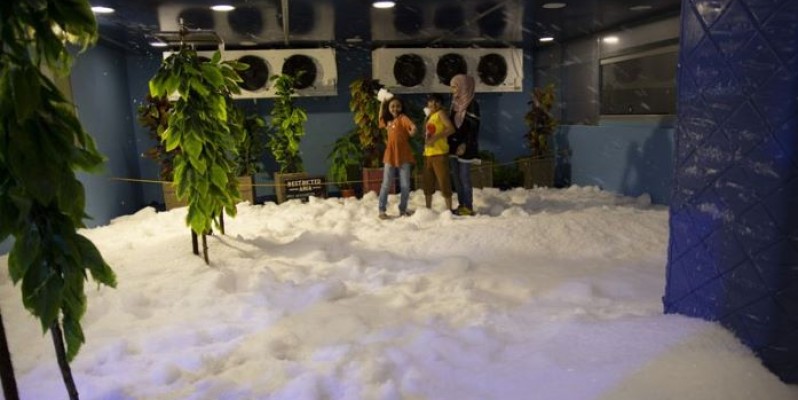 Dreamworld Membership (Just Like Free) image 3