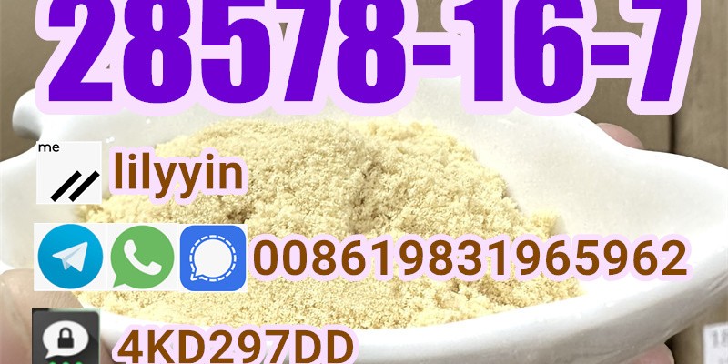 Supply High Purity 28578-16-7 image 3