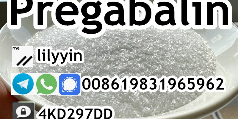 Pregabalin 148553-50-8 Crystalline Pregabalin powder image 3
