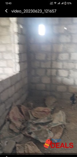 Urgent sale for house main Ali pur Islamabad street No 8 image 2