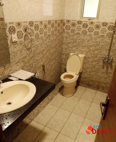 F6/3 ideally located newly renovat Big garden image 2