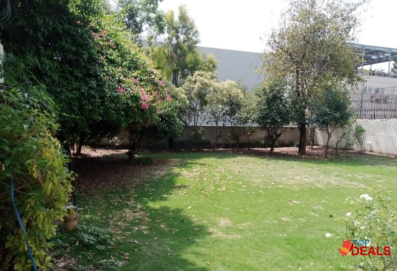 F6/3 ideally located newly renovat Big garden image 3