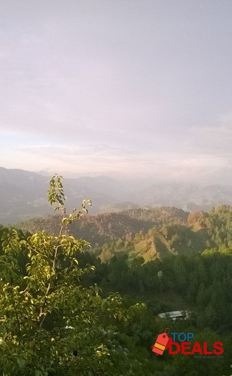 PLOT FOR SALE IN BANIGALA image 1