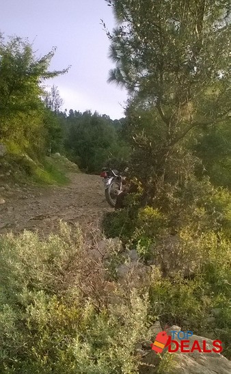 PLOT FOR SALE IN BANIGALA image 2