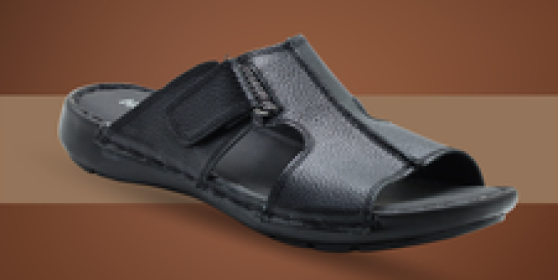 Hush Cat! UP TO 50% off 4 