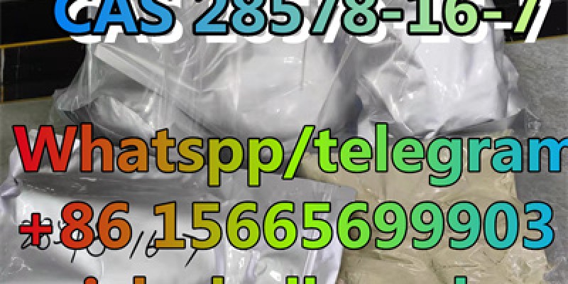 PMK ethyl glycidate cas 28578-16-7 image 4