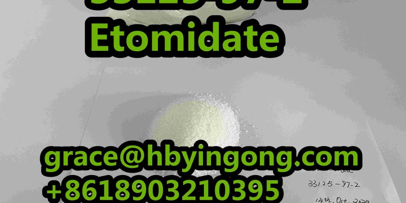 New Original 33125-97-2  Etomidate image 4