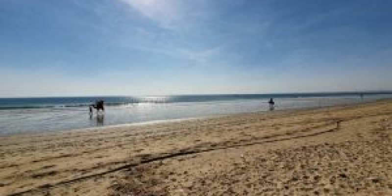 kbh A55 turtle beach image 4