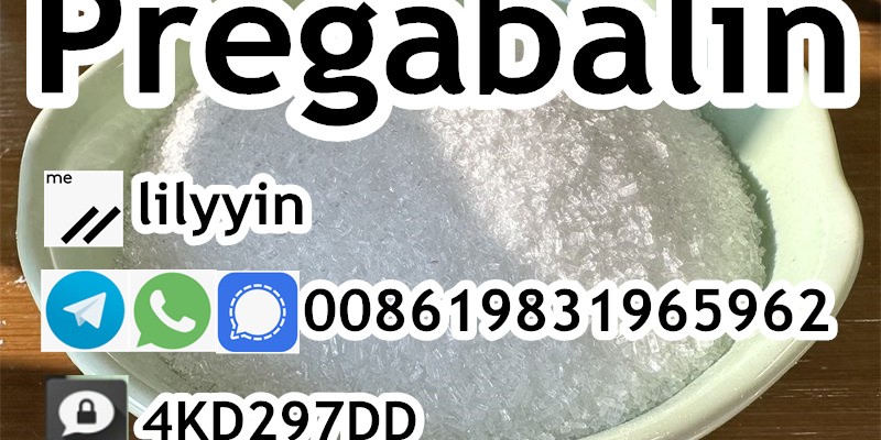 Pregabalin 148553-50-8 Crystalline Pregabalin powder image 4