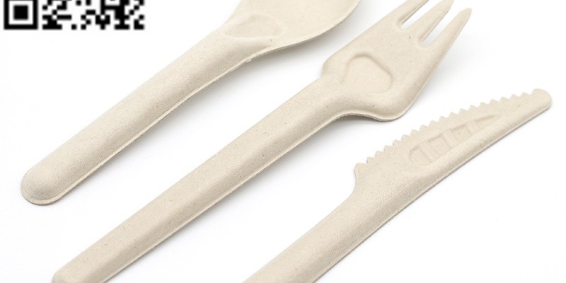 Cutlery disposable cutlery sugarcane cutlery sugarcane fork image 8