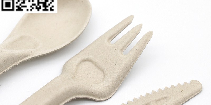 Cutlery disposable cutlery sugarcane cutlery sugarcane fork image 9