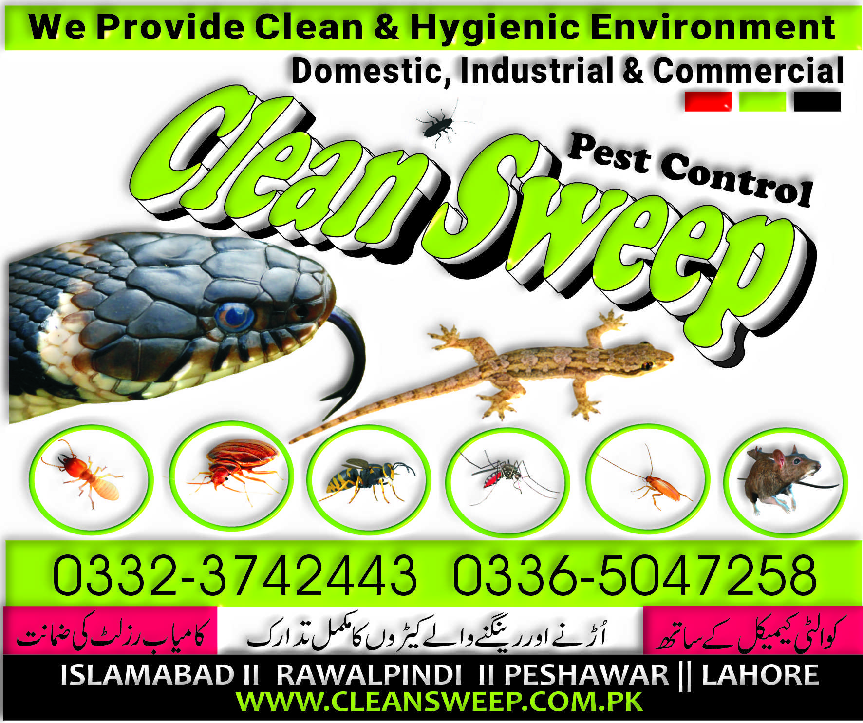 Cockroach Spray Services Rawalpindi