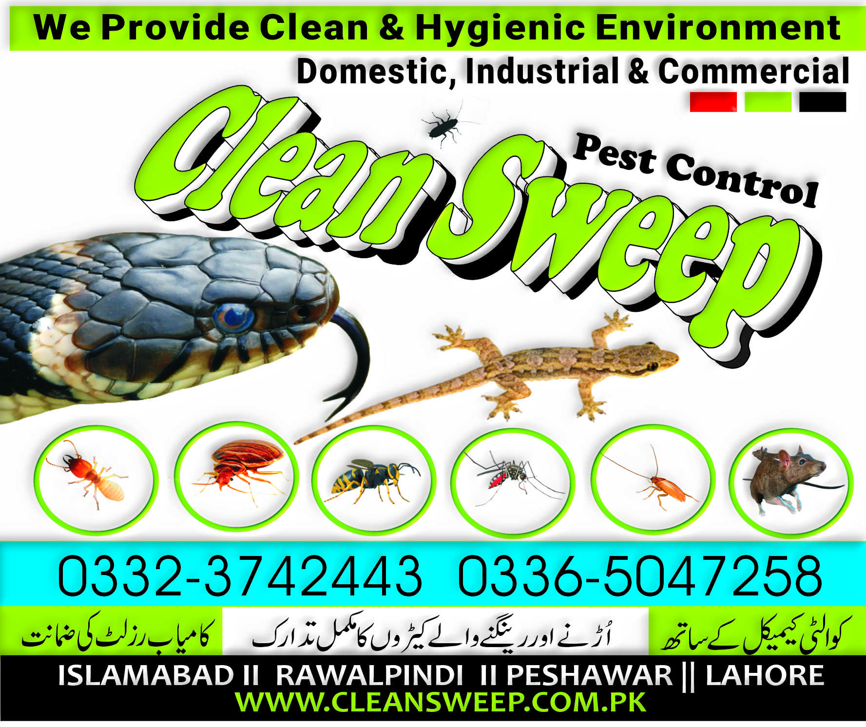 Bedbugs Treatment Rawalpindi