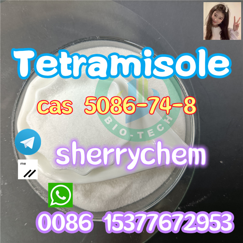 Buy Tetramisole hydrochloride CAS 5086-74-8 99% White Powder