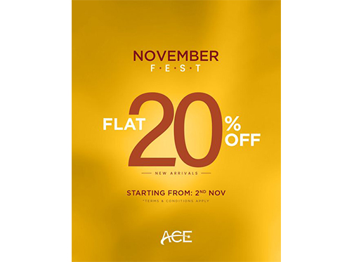 Ace Galleria November Feast Flat 20% Off