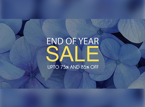 Sifona End Of Year Sale Upto 75% & 85% Off
