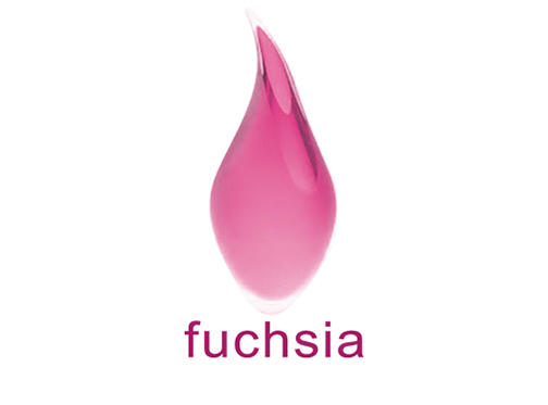 30% Discount On Fuchsia With Alied Bank