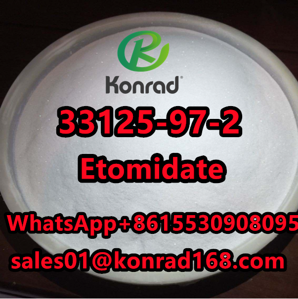 CAS：33125-97-2Etomidate