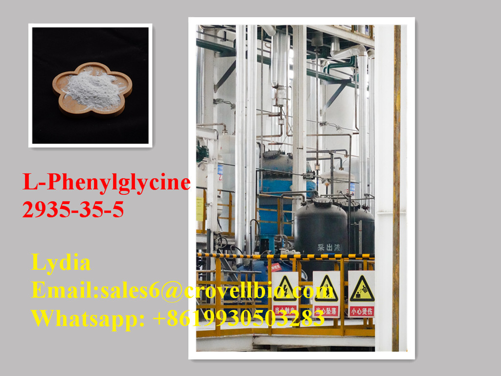 Directly supply high quality L-Phenylglycine CAS NO. 2935-35-5