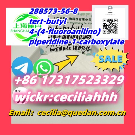 288573-56-8   tert-butyl 4-(4-fluoroanilino)piperidine-1-carboxylate