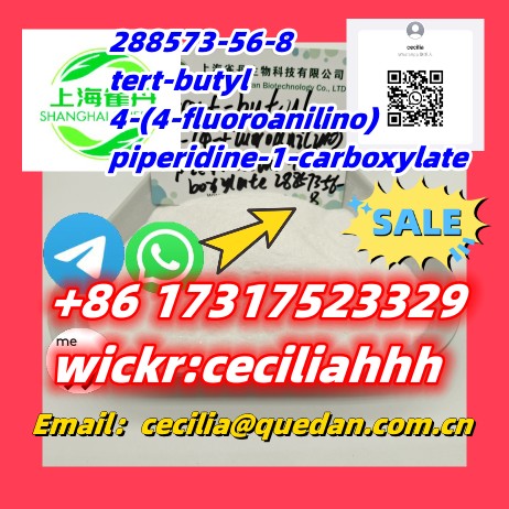 288573-56-8   tert-butyl 4-(4-fluoroanilino)piperidine-1-carboxylate