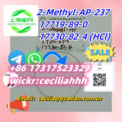 2-Methyl-AP-237  CAS:17719-89-0     17730-82-4 (HCl)