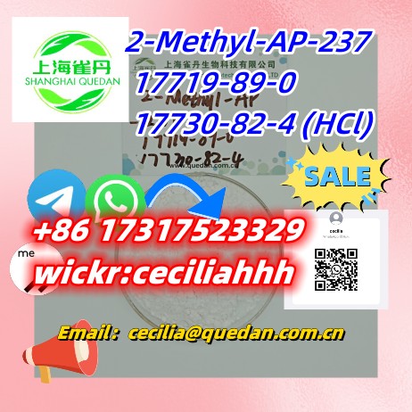 2-Methyl-AP-237  CAS:17719-89-0     17730-82-4 (HCl)