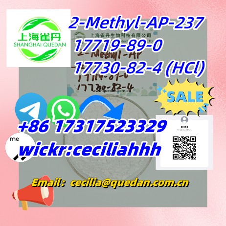 2-Methyl-AP-237  CAS:17719-89-0     17730-82-4 (HCl)