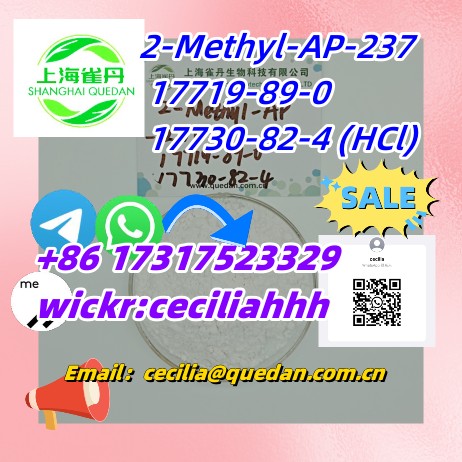 2-Methyl-AP-237  CAS:17719-89-0     17730-82-4 (HCl)