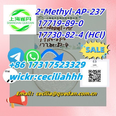 2-Methyl-AP-237  CAS:17719-89-0     17730-82-4 (HCl)