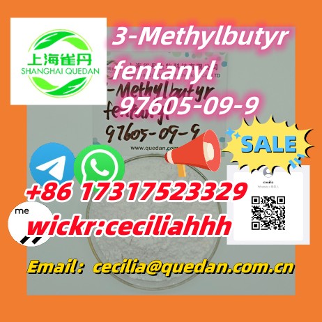 3-Methylbutyrfentanyl CAS:97605-09-9