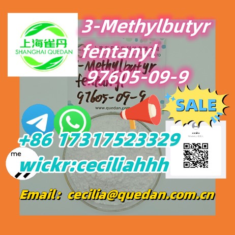 3-Methylbutyrfentanyl CAS:97605-09-9