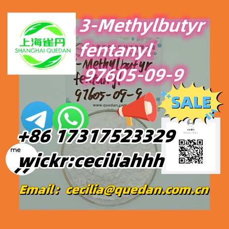 3-Methylbutyrfentanyl CAS:97605-09-9