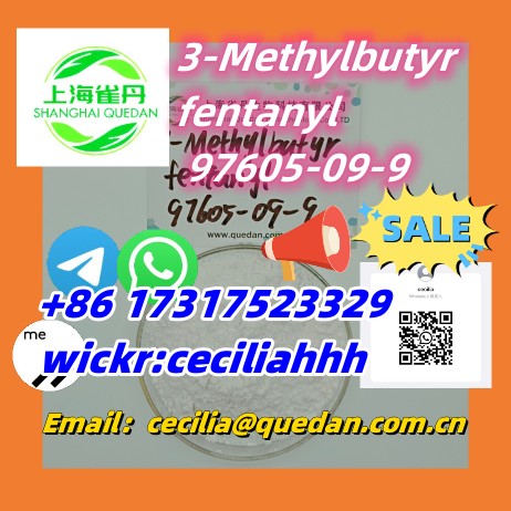 3-Methylbutyrfentanyl, 3-MBF 97605-09-9