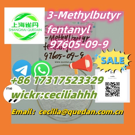 3-Methylbutyrfentanyl, 3-MBF 97605-09-9