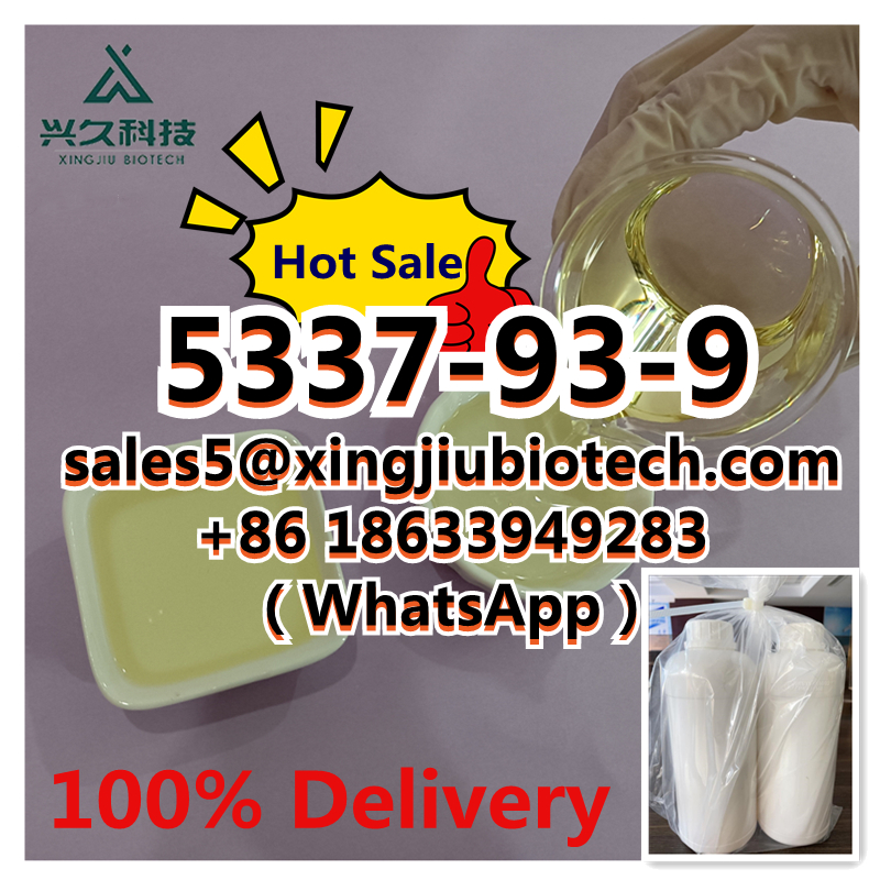 CAS 5337-93-9 4-Methylpropiophenone with Bulk Price