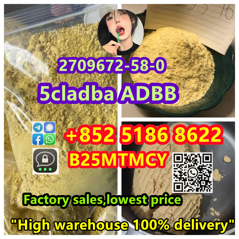 Best price 5cladba for sell 24 hours delivery+852 5186 8622