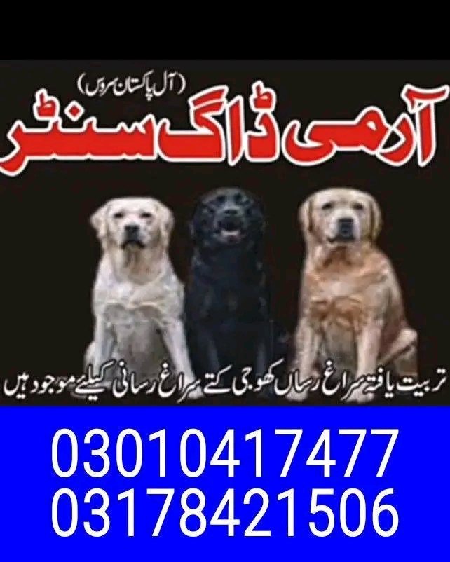 Army dog center karachi 03178421506